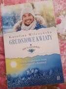Karolina Wilczyńska "Grudniowe kwiaty" outlet