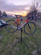 Rower szosowy Focus Variado – Tiagra 18 biegów – Karbon