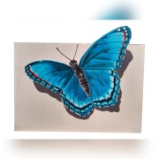 Obraz olejny 3D-MOTYL