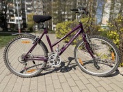 Rower damski Giant Upland 7-biegowy