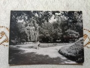 Kluczbork - Fragment parku miejskiego
