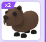 Capybara | Adopt me | Roblox |