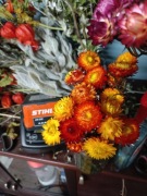 Suchołuska kocanka suszki naturalne suszone  kwiaty bukiety  pomarańczowa