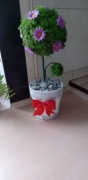 Drzewko z mchu chrobotkowego 