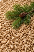 Pellet Pelet 6mm sosnowy 25kg !!!= 60 PLN proszę czytać opis :)