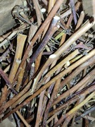 Gałązki malin dla królików i gryzoni 1kg