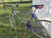 Rower szosowy LINCOLN ”ARROW”