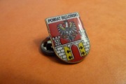 Będzin Powiat Herb pin przypinka 