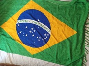 (UNIKAT)Flaga Brazylii.Kibic.Ameryka Południowa.Futbol.Sport.Polityka.Kraj