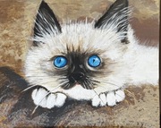 Ręcznie malowany akryl, Kotek Ragdollek