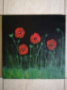 Obraz akrylowy : Maki