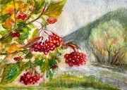 Kalina w Karpatach originalna akwareli A4