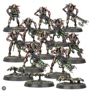 Necron Warriors and Scarab Swarms