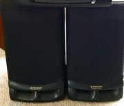 Kolumny do wieży Pioneer, 30W. 