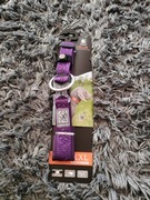 Obraża dla psa winhyepet classic