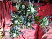 Nowe piękne trzy gałązki sztucznego ostu