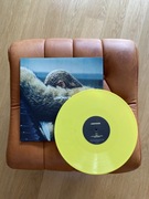 Winyl/vinyl Beyonce - Lemonade (180g Colored 2LP) 