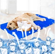 Mata chłodzące dla psa 50x40cm