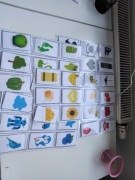 Karty pracy nauka kolory rzepy lamibook