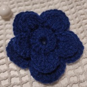 Kwiatek atramentowy, włóczka 