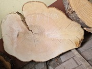 16 JESION 85/62/10 cm Blat Plaster Drewna Stolik Żywica Epoxy DIY Live Edge