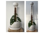 Ręcznie wykonany zestaw z palikiem na mech, monstera, filodendron