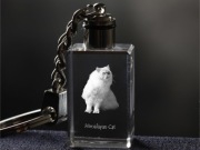 Himalayan Cat brelok sześcienny Świecący