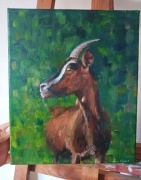 Obraz portret kozy koza malarstwo olejne 