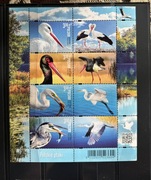 Fi 5112-15** Polskie ptaki 