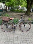 Rower damka koła 28