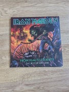 Iron Maiden From Fear to Eternity (The Best of 1990–2010)  3LP