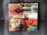 Animal Collective - Centipede Hz CD