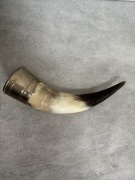 Róg bawoli do powieszenia ozdobny