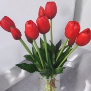 Tulipany czerwone bukiet 5 kwiatów .
