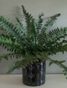 Osłonka na doniczkę vintage ciemnozielona 15 cm