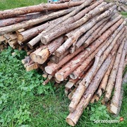 Stemple budowlane 2.6m