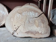 Plaster Drewna BUK 90/65/7,5 cm Blat Stolik Żywica DIY Wysuszony