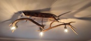 Żyrandol / lampa wisząca z poroża jelenia 
