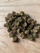 susz konopny CBD / Kwiaty CBD Premium – Ciepła Borówkowa Drożdżówka