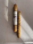 Świeca Programowa Jego Pełnia