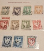 Fi 55-65* Orzeł na tarczy heraldycznej wydanie PKL. 1919