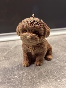 Brązowy piesek 200 ml 