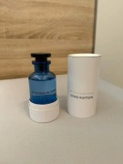 LOUIS VUITTON Afternoon Swim