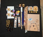 Mega zestaw dla dziewczynki kapibara prezent święta