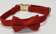 Obroża z kokardą czerwoną L