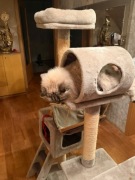 Drapak dla kota - wypasiony