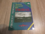 Brytyjskie niszczyciele typu Tribal