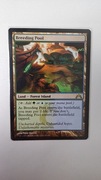 Breeding Pool (Gatecrash)