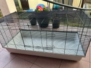 Klatka dla gryzoni NOWA XXL