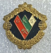 Odznaka ZAGŁĘBIE Sosnowiec FAN CLUB